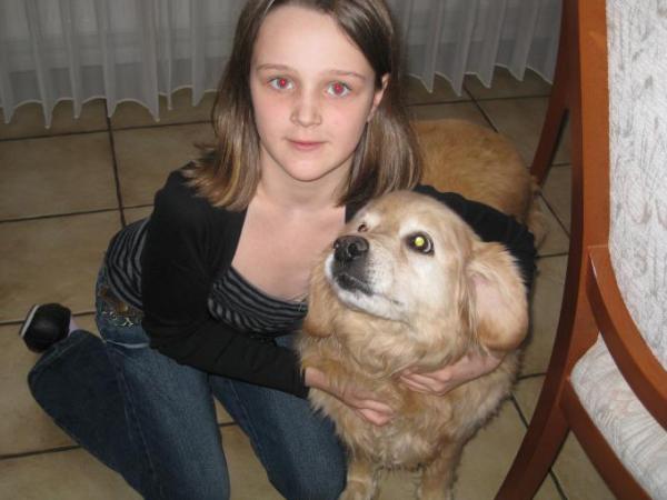 Bild zu 
