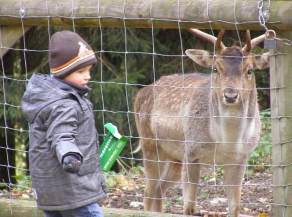 Bild zu 
