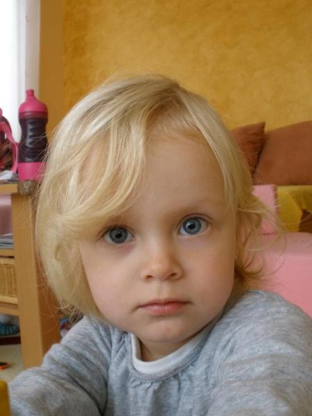 Bild zu 