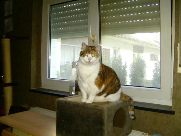 Bild zu 