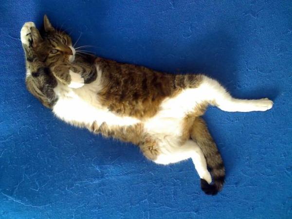 Bild zu 