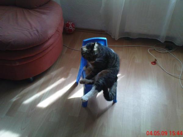 Bild zu 