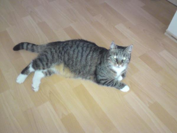 Bild zu 