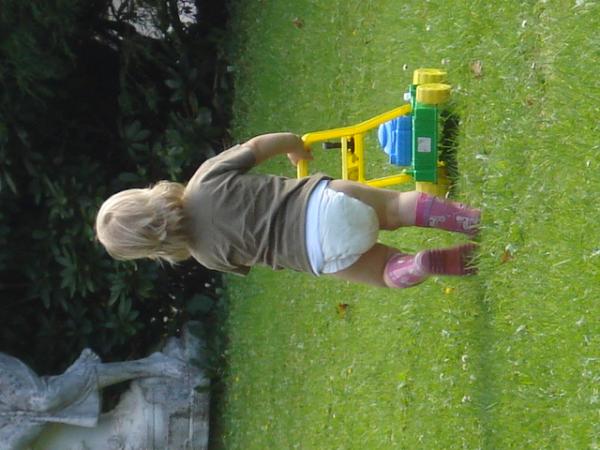 Bild zu 