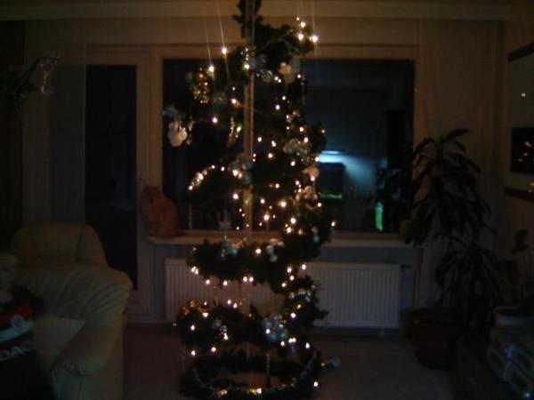 Bild zu 