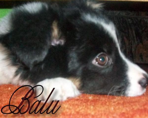Bild zu 