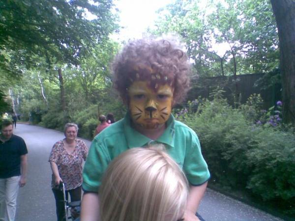 Bild zu