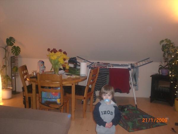 Bild zu