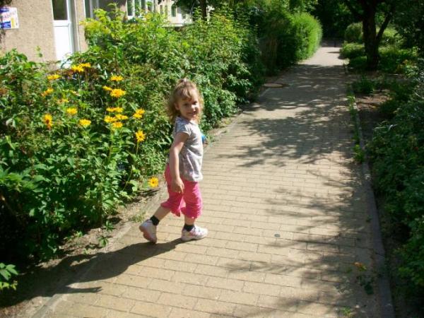 Bild zu