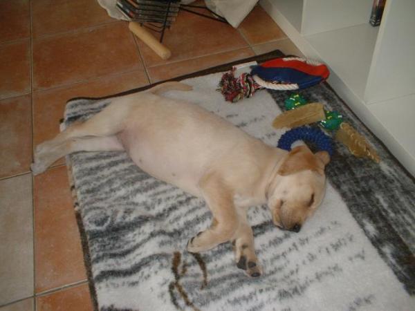 Bild zu bisher noch gar nicht so anstrengend - Baby Forum - Allgemeine Themen