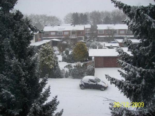Bild zu Endlich auch bei uns! Es schneit!(Bild) - Baby Forum - Allgemeine Themen