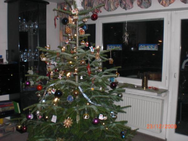 Bild zu Ich haben fertig... zeigt her Eure Bäume :-) m.T. - Baby Forum - Allgemeine Themen
