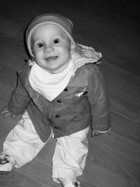 Bild zu