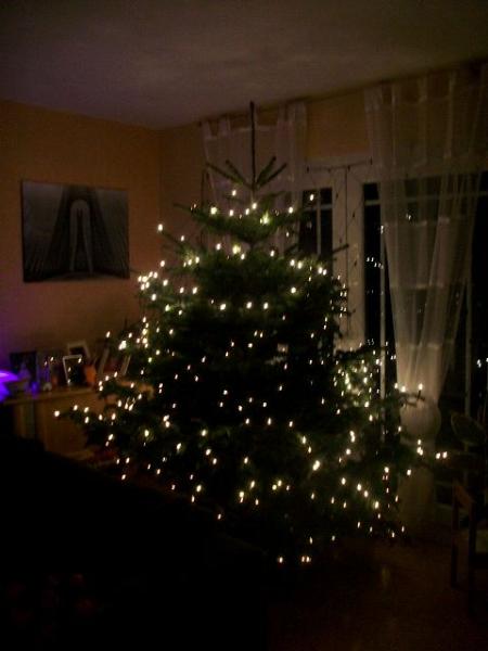 Bild zu Bild vom Baum mit 370 Lichtern: - Baby Forum - Allgemeine Themen