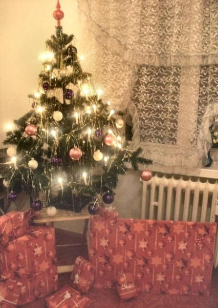 Bild zu Das ist unser Baum :-) - Baby Forum - Allgemeine Themen