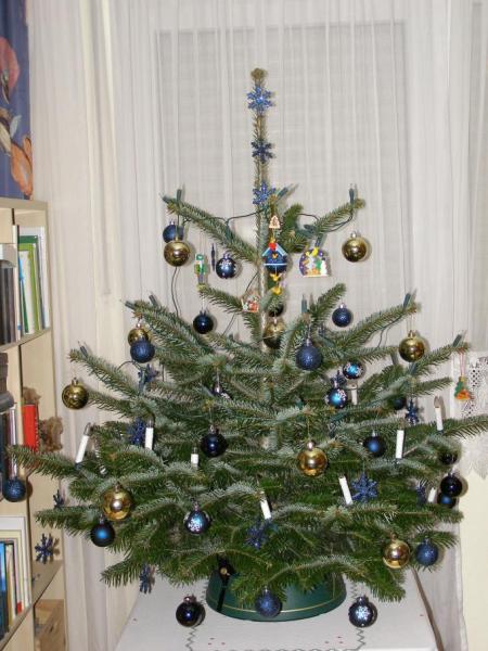 Bild zu