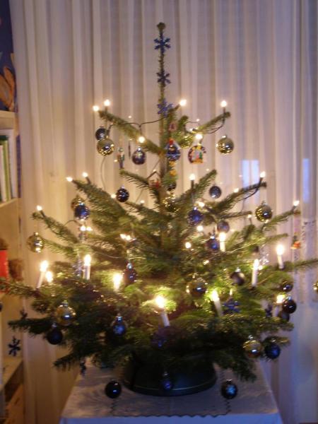 Bild zu