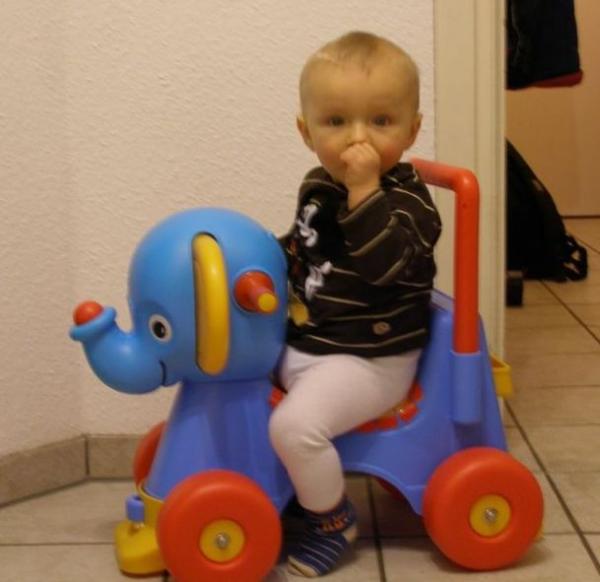 Bild zu