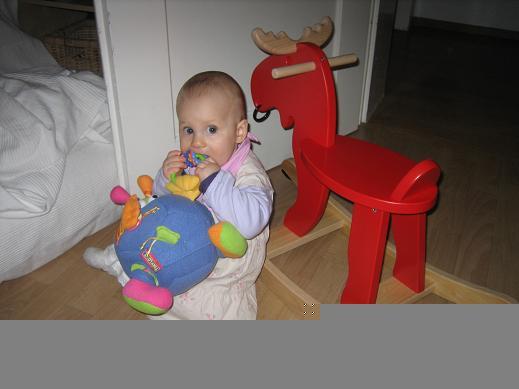 Bild zu 