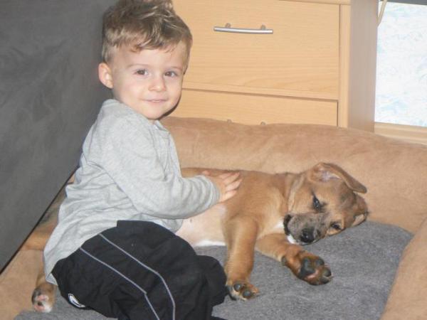 Bild zu Meine zwei Süßen... ;o) - Baby Forum - Allgemeine Themen