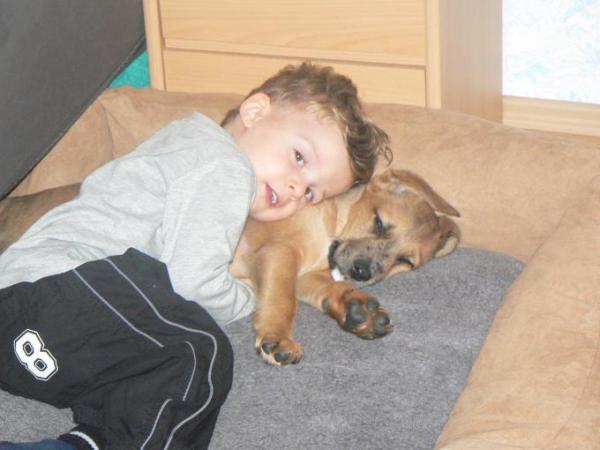 Bild zu 