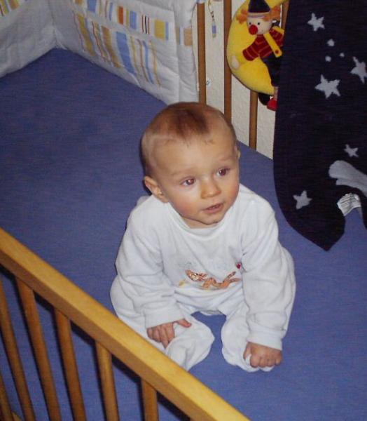 Bild zu