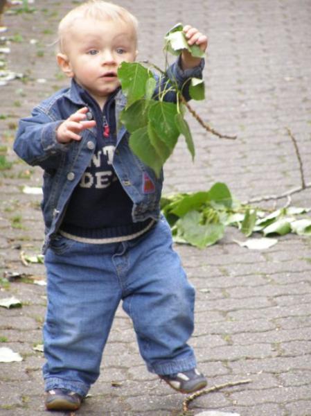 Bild zu