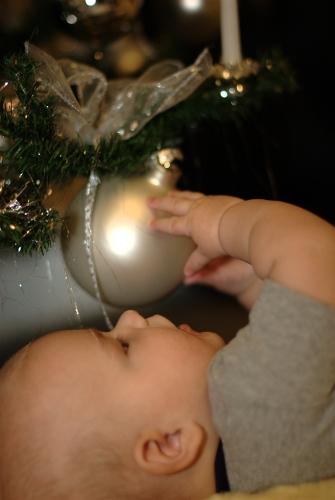 Bild zu mein kleines Baby unterm Weihnachtsbaum - Baby Forum - Allgemeine Themen