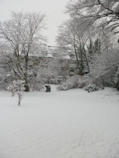 Bild zu 