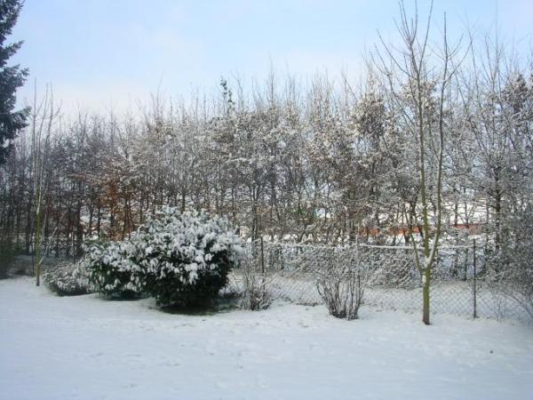 Bild zu So... - Baby Forum - Allgemeine Themen