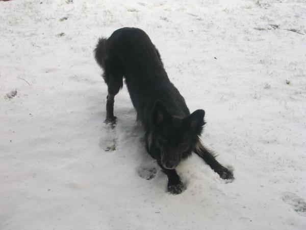 Bild zu 