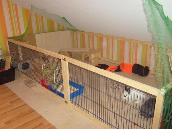 Bild zu 