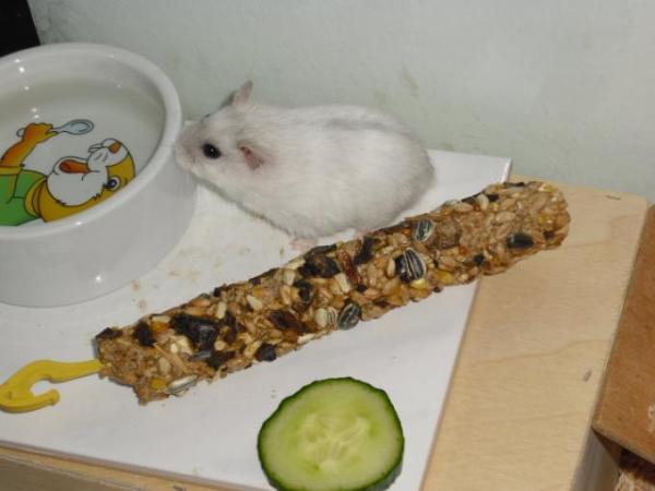 Bild zu 