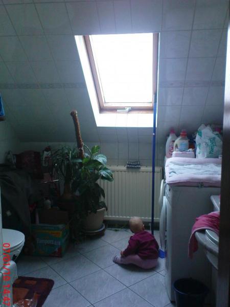 Bild zu 