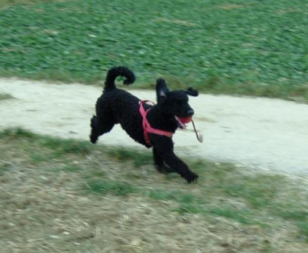 Bild zu