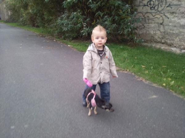 Bild zu