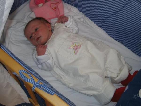 Bild zu 