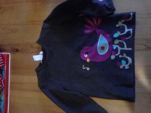 Bild zu