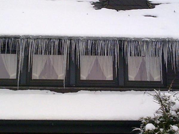 Bild zu Winterimpressionen..... 1 - Baby Forum - Allgemeine Themen