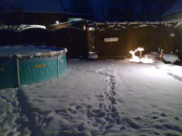 Bild zu