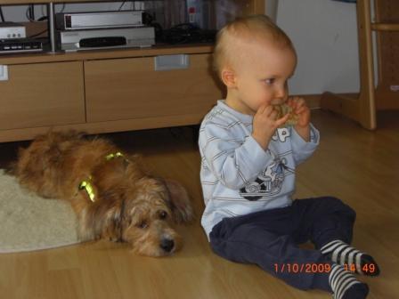 Bild zu