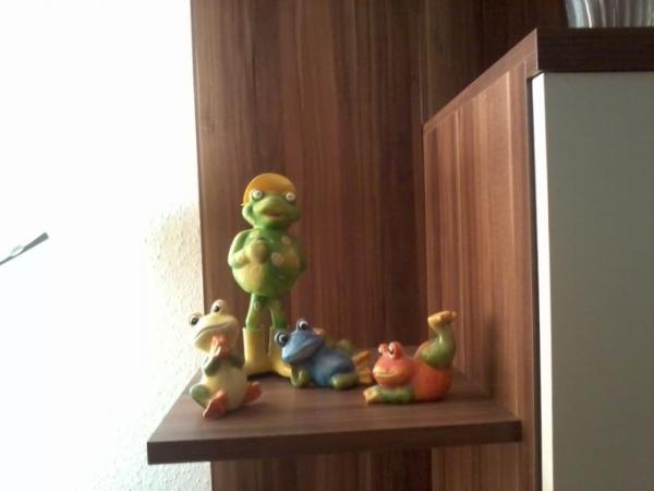 Bild zu 