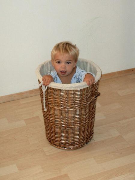 Bild zu