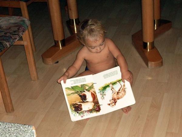 Bild zu