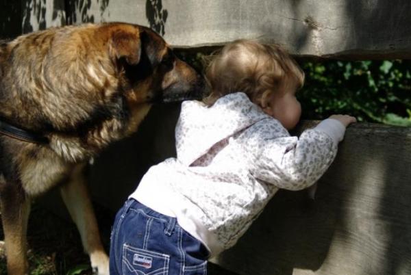Bild zu Mein Lieblingsbild - Baby Forum - Allgemeine Themen