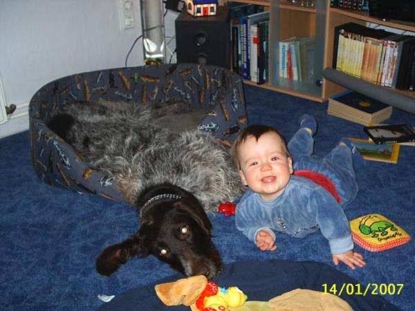 Bild zu 