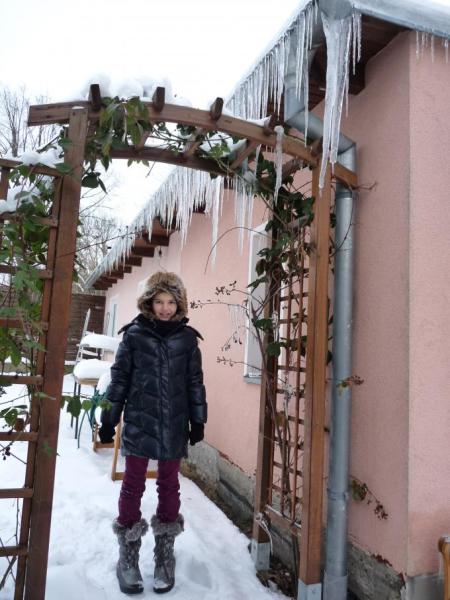 Bild zu 