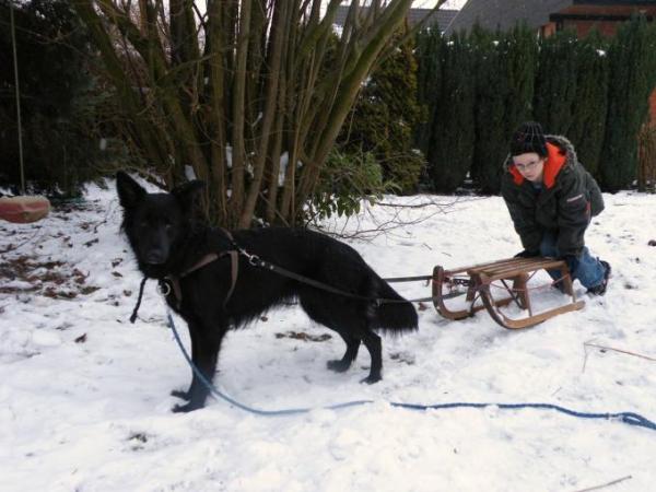 Bild zu Schade, dass der Schnee - Baby Forum - Allgemeine Themen