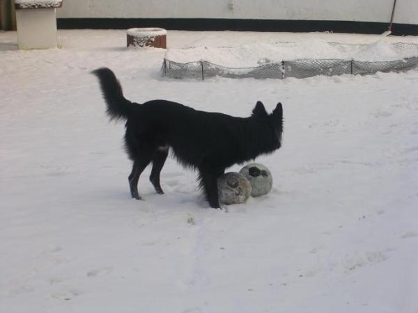 Bild zu