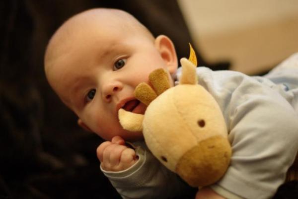 Bild zu Mein Sohn äfft mich nach - Baby Forum - Allgemeine Themen